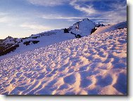 Tapety na plochu: 2797