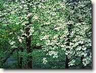 Tapety na plochu: 2802