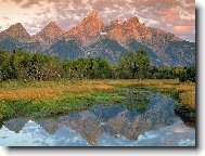 Tapety na plochu: 2938