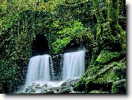 Tapety na plochu: 1653