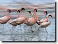 Tapety na plochu: 2018