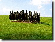 Tapety na plochu: 2108