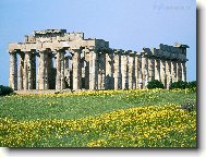 Tapety na plochu: 2117