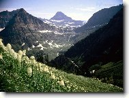 Tapety na plochu: 2161