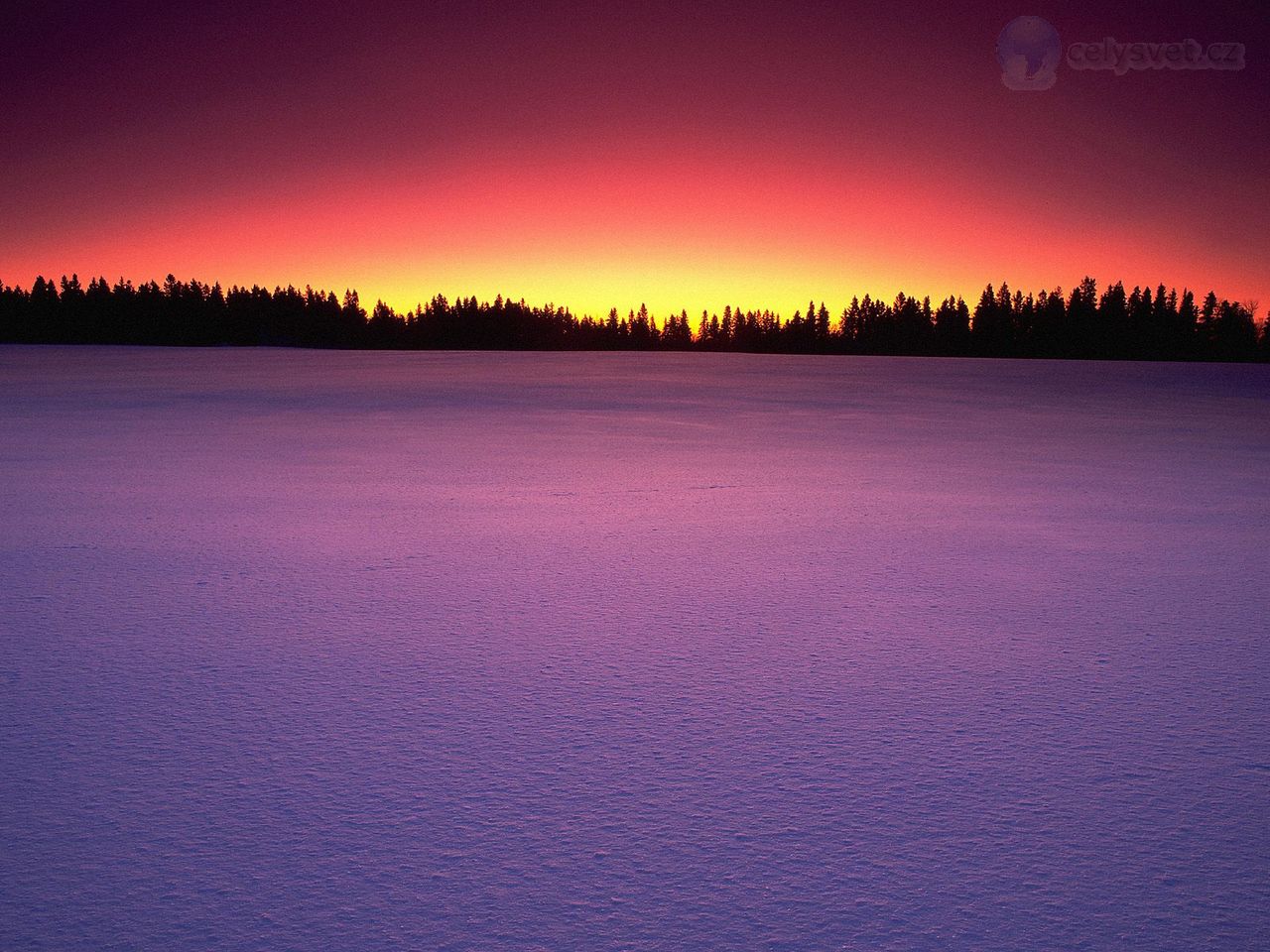 Foto: Birds Hill Provincial Park, Manitoba, Canada