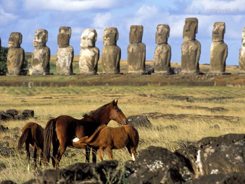 Foto: Horses Of Easter Island, Chile